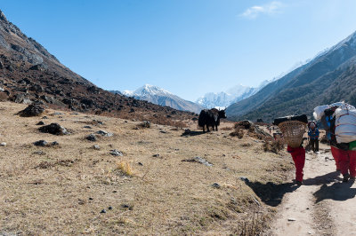 Highway from Langtang to Kyanjing Gompa