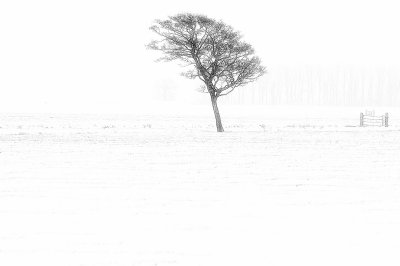 g9/40/1027440/3/154505224.o77WO81M.jpg