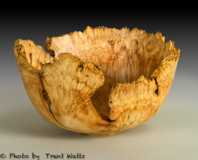 Maple Burl bowl approximately 14 in diameter.