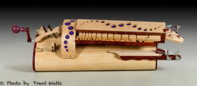 Very Modern Hurdy Gurdy.