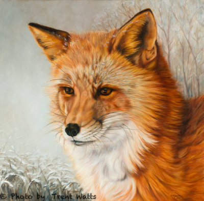 Painting of a Fox from Saskatoon Forestry Farm.