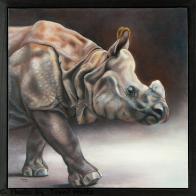 Painting of a Rhinoceros from Toronto zoo.