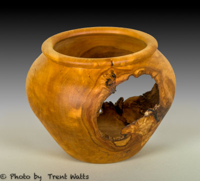 Vessel with large voids incorporated into the turning.