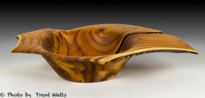 Russian Olive wingedbowl.