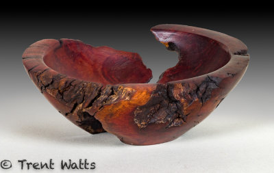 Manzanita root bowl. (One of three).