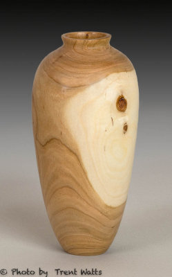 Hollow turned vessel from a local fruit wood.