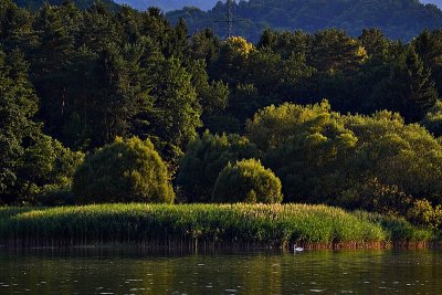 The green Paradise on the River Drava dsc0522xpb