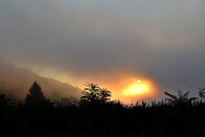 Morning Sun in September fog dsc_1574ypb