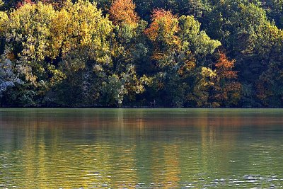 October day at the river Drava DSC_0212ypb