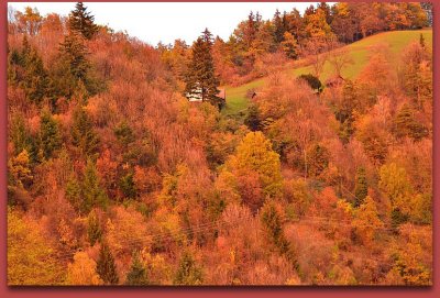 Hill in autumn DSC_0599gpb