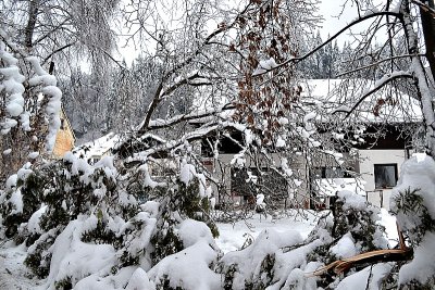 Winter Fallen trees due to sleet  podrta drevesa radi žledu DSC_0053xpb