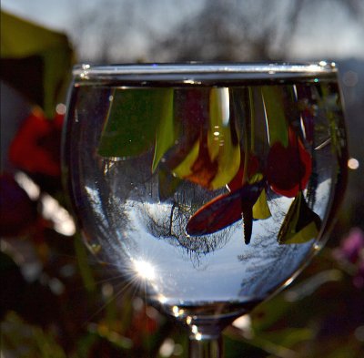 Glass of water  kozarec  DSC_0238xpb