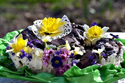 Spring flower cake  pomladna rona torta DSC_0697xpb