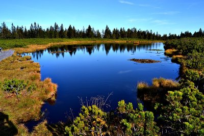 Ribnica lake  jewel of nature dsc_01341ypb