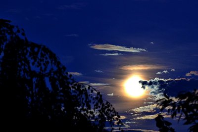 Full moon is singing a love  song to me  DSC_0433pbx