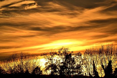 Gold sunset on  an autumn sky  DSC_0428xpb