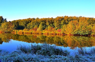  Pond in autumn  ribnik v jeseni dsc_0005xpb