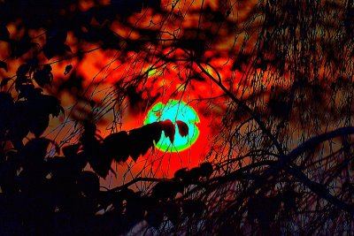 Sun rays in an autumn morning  DSC_0243xpb