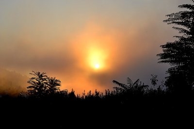 Sunrise in the misty  dsc_1585ypb