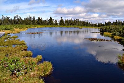 Ribnica lake  DSC_0600xpb