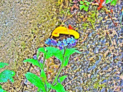 g9/40/1082640/3/160398995.KpJDPiEm.jpg