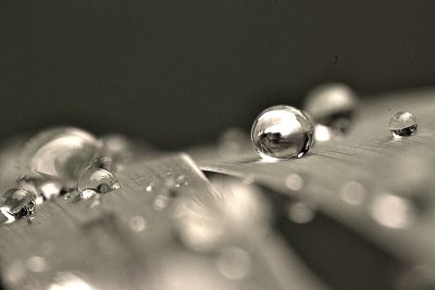 Water drops  DSC_0315gpb