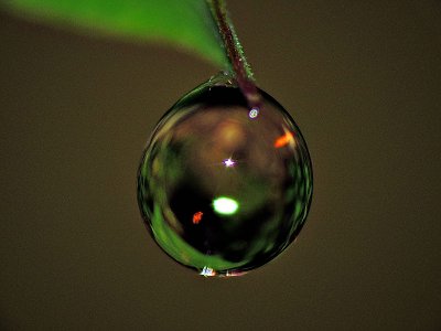 Green drop light DSCN8105xpb