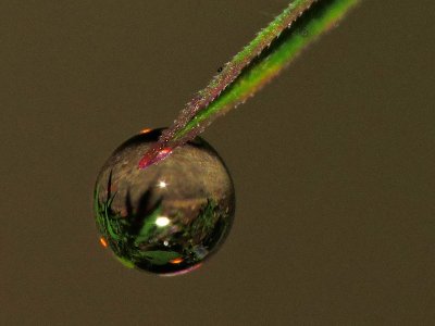 The earth in the rain drop DSCN8085xpb