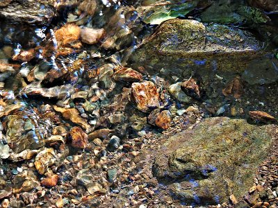 Crystal clear water  of small rivulet DSCN8756xpb