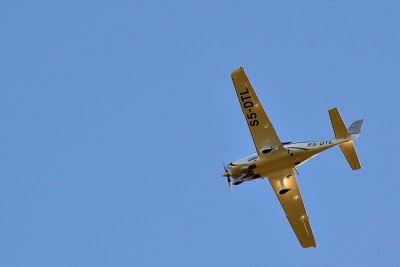 DSC_07335xpb