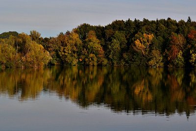 Autumn at the river Drava dsc_0701xpb