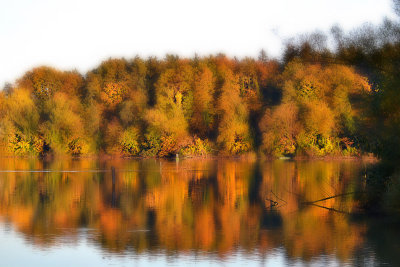 Autumn colors & Reflections DSC_0643xNpb