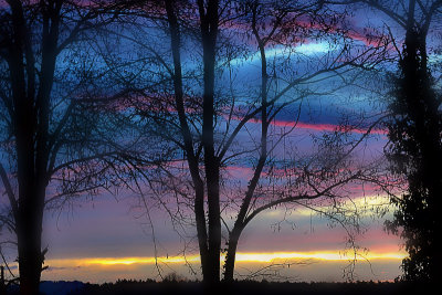 Morning &  Black Locust DSC0815gNpb