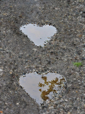 A pair of hearts   DSCN2997g02052016pb