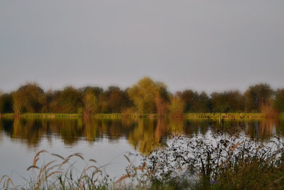 Autumn on the pond DSC_0652gx28092016pb