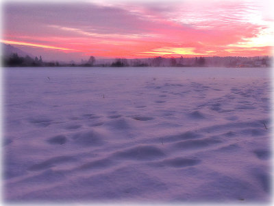 Winter morning DSCN1319x08012016pb