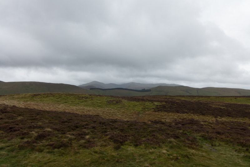 View from Ling Fell