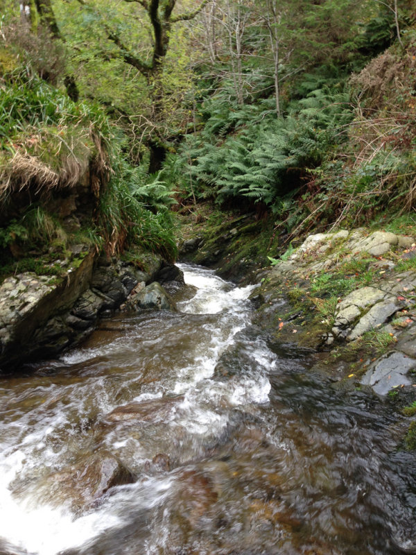 The top of Spout Force