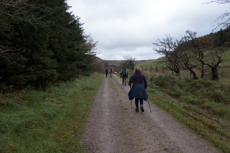 Setting off up the forest road
