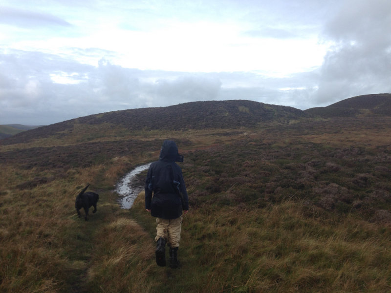 Approaching the summit