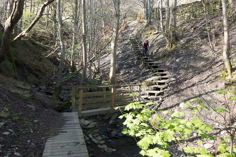 Footbridge in the glen