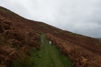 Setting off up the Corpse Road