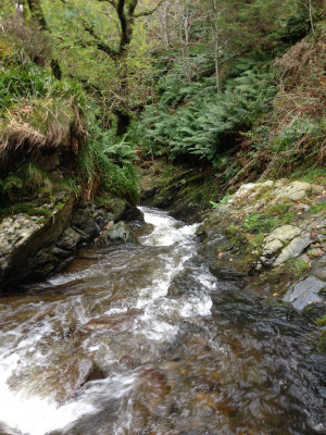 The top of Spout Force