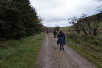 Setting off up the forest road