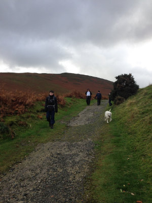 Heading back down from High Coledale