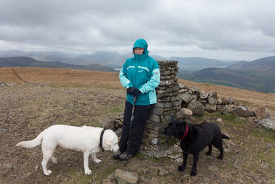 Lorraine and Dogs at summit of Clough Head