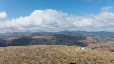 View from Watson's Dodd