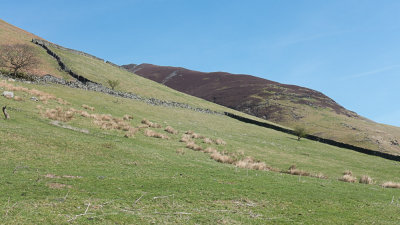 First view of Hall's Fell