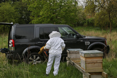 April 20 - Arrival of the new hive