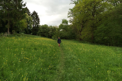 May 9 - Walking through the fields